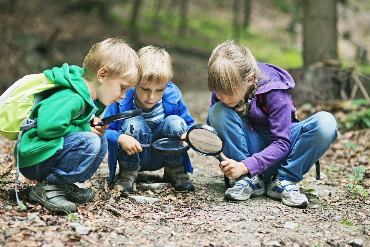 Trois enfants observent la nature à la loupe en forêt